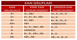 AB+ kan grubu hangi kan gruplarına kan veremez?